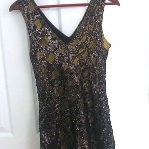 Express Sequins Dress